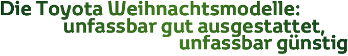Weihnachtsmodelle
